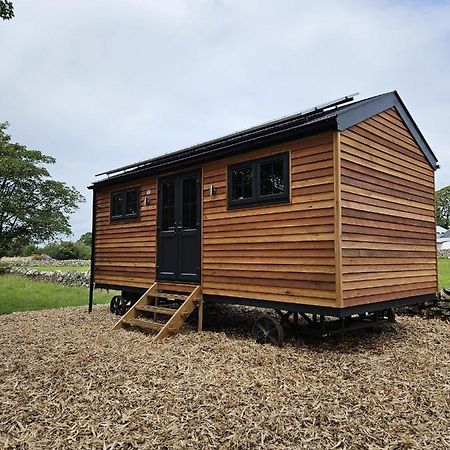 Woodland Shepherds Hut - 'Saga' Карнарвон Экстерьер фото