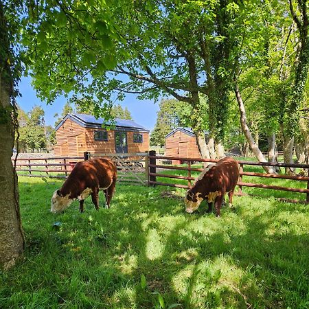 Woodland Shepherds Hut - 'Saga' Карнарвон Экстерьер фото