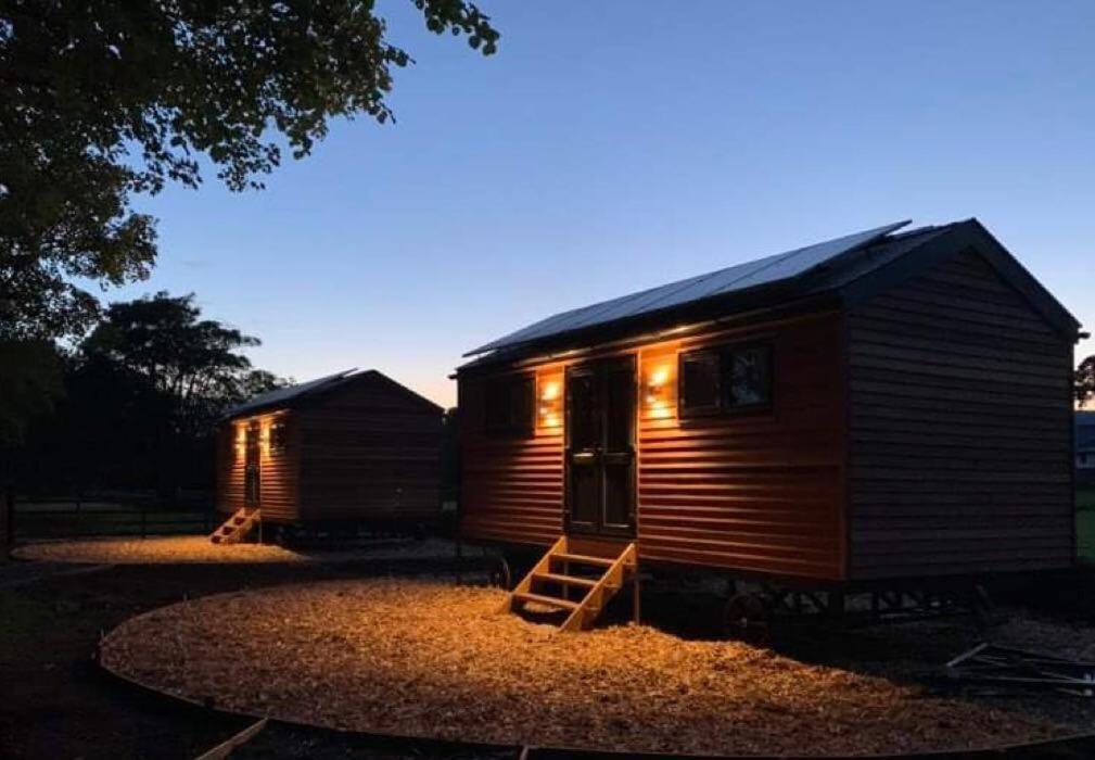 Woodland Shepherds Hut - 'Saga' Карнарвон Экстерьер фото